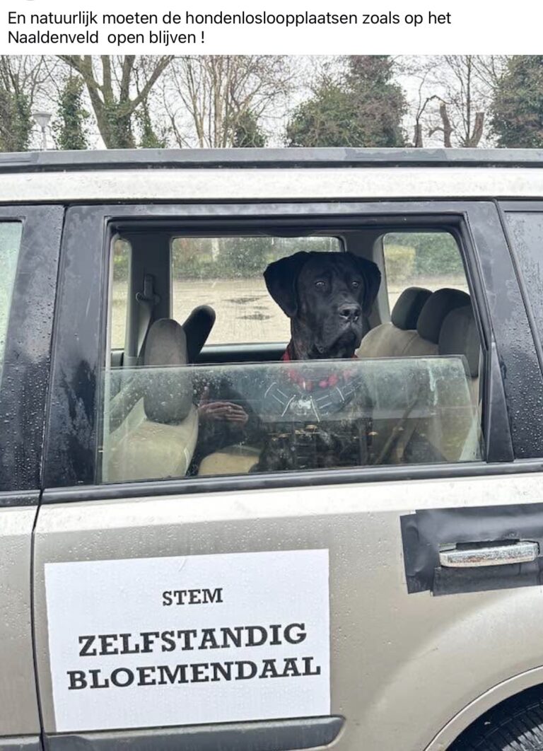 Honden losloop plaatsen